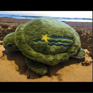 2004 Wishpets 10” Green Sea Turtle Stuffed Animal JOLENE Plush Virginia Beach